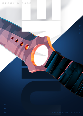 BRR BRR cs2.one csgo_skins case art